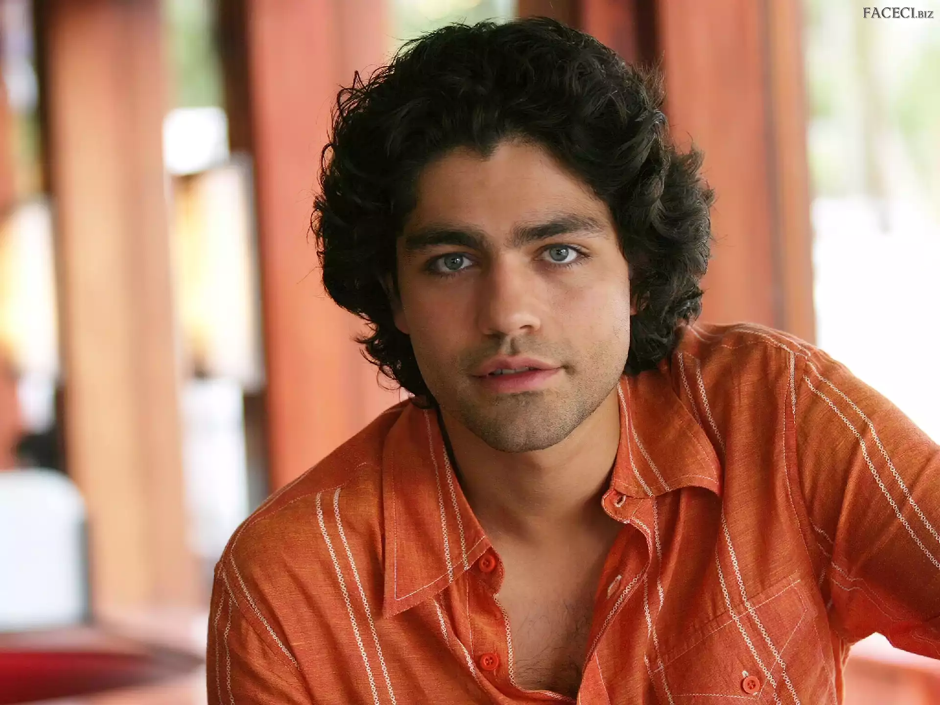 Adrian Grenier, Aktor